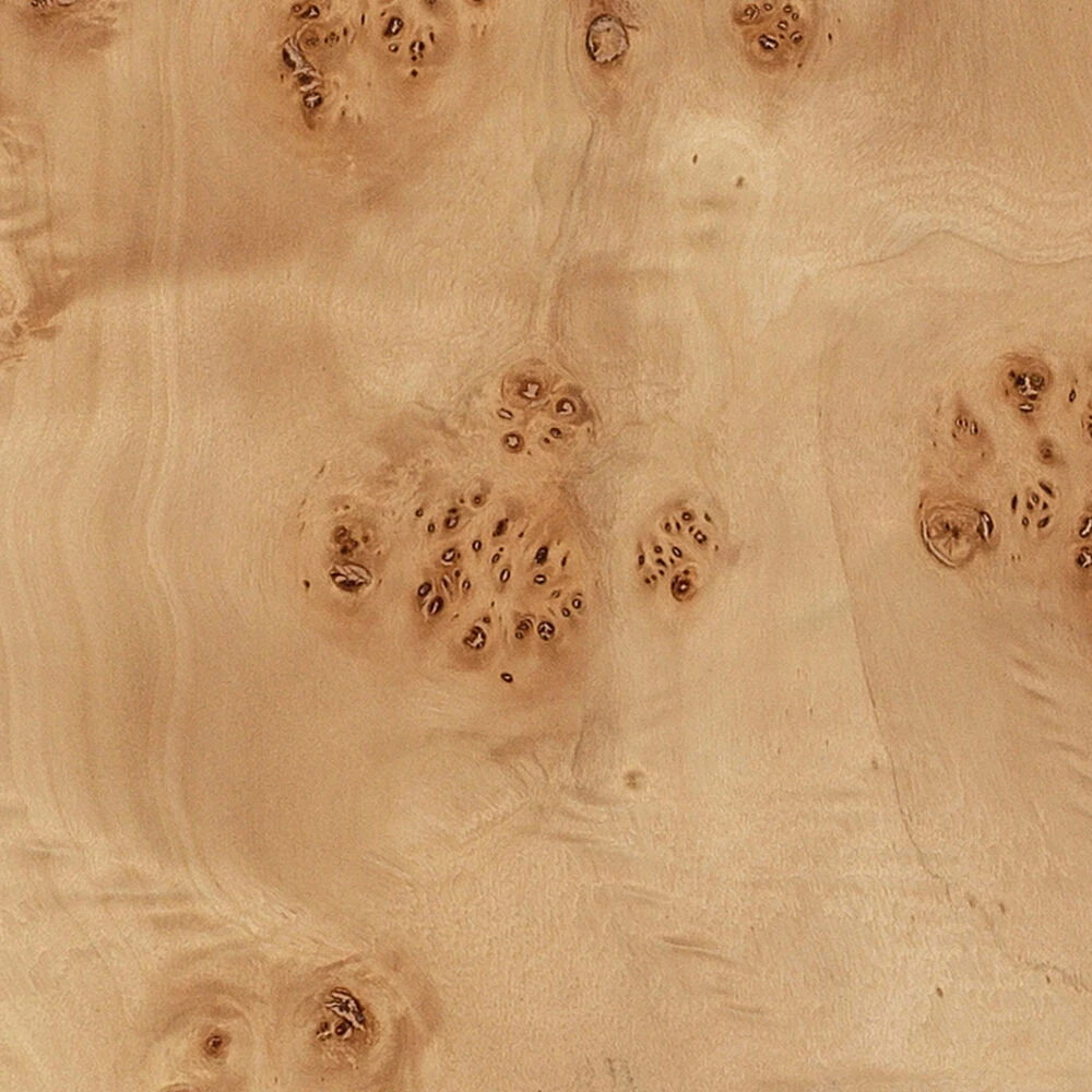 Parallel 63.25 Inch 150 Watt Natural Burl Wood Floor Lamp Portable Light 4 Parallel 63.25 Inch 150 Watt Natural Burl Wood Floor Lamp Portable Light - Image 4