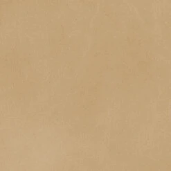 Alessa Cashew Leather And Black Sling Chair -Home Decorate Shop 20ales chca 3