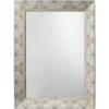 Fragment 48 X 36 Inch Light Grey & Beige Faux Horn Mirror