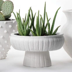 Aegean Pedestal 14.5 X 9 Inch Bowl 9 Aegean Pedestal 14.5 X 9 Inch Bowl -Home Decorate Shop 7aege lgwh 2