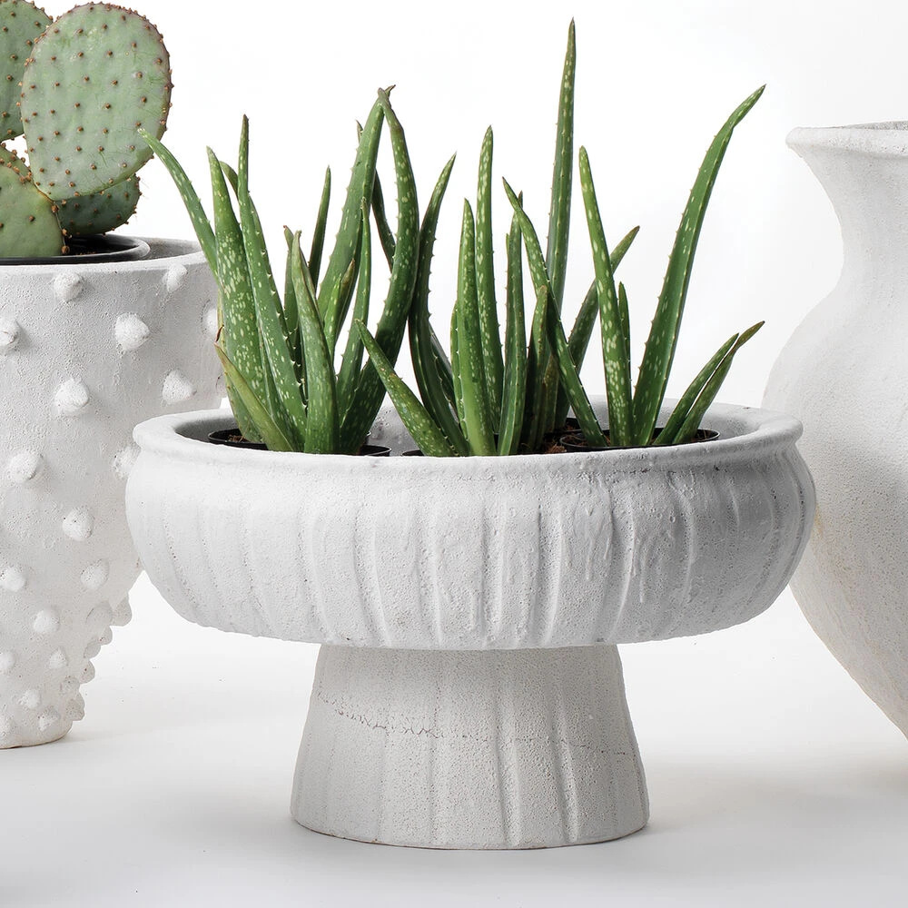 Aegean Pedestal 14.5 X 9 Inch Bowl 3 Aegean Pedestal 14.5 X 9 Inch Bowl - Image 3