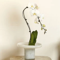 Bloom 9.5 X 7 Inch Vessels, Set Of 3 -Home Decorate Shop 7bloo vewh 7