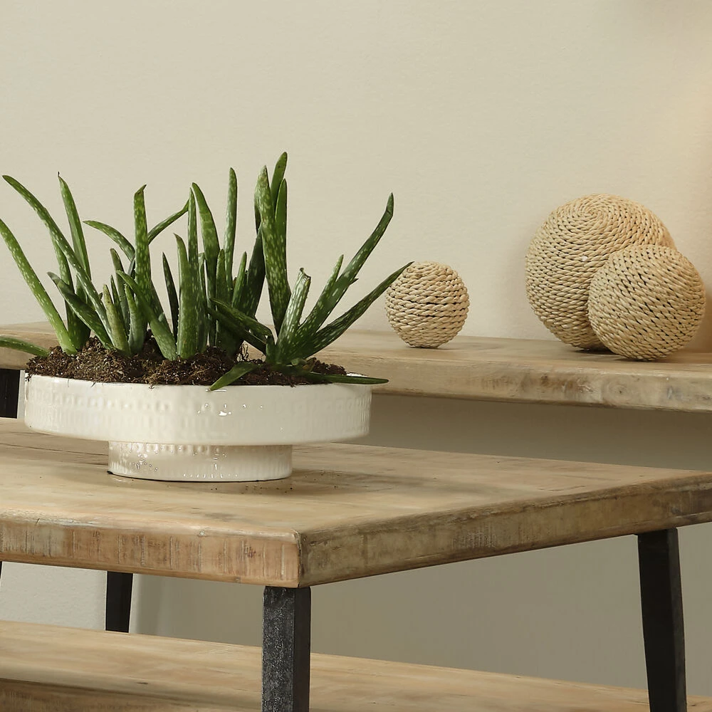 Coco 13 X 13 Inch White Ceramic Pedestal 2 Coco 13 X 13 Inch White Ceramic Pedestal - Image 2