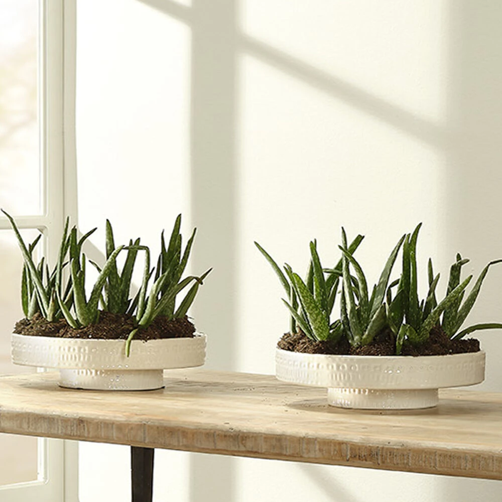 Coco 13 X 13 Inch White Ceramic Pedestal 6 Coco 13 X 13 Inch White Ceramic Pedestal - Image 6