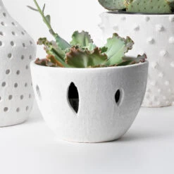 Lacerated 13 X 8 Inch Bowl -Home Decorate Shop 7lace bowh 8