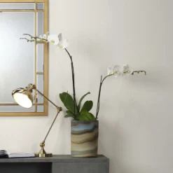 Terrene 11 X 8 Inch Vase -Home Decorate Shop 7terr mdgr 5