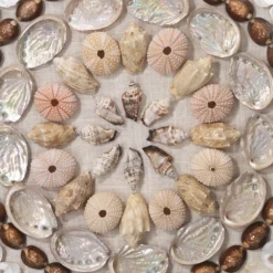 Bondi Acrylic Off White / Brown / Light Pink Shells Wall Art -Home Decorate Shop 8bond mult 2