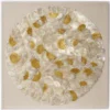 Tahiti Cream Shell Wall Art