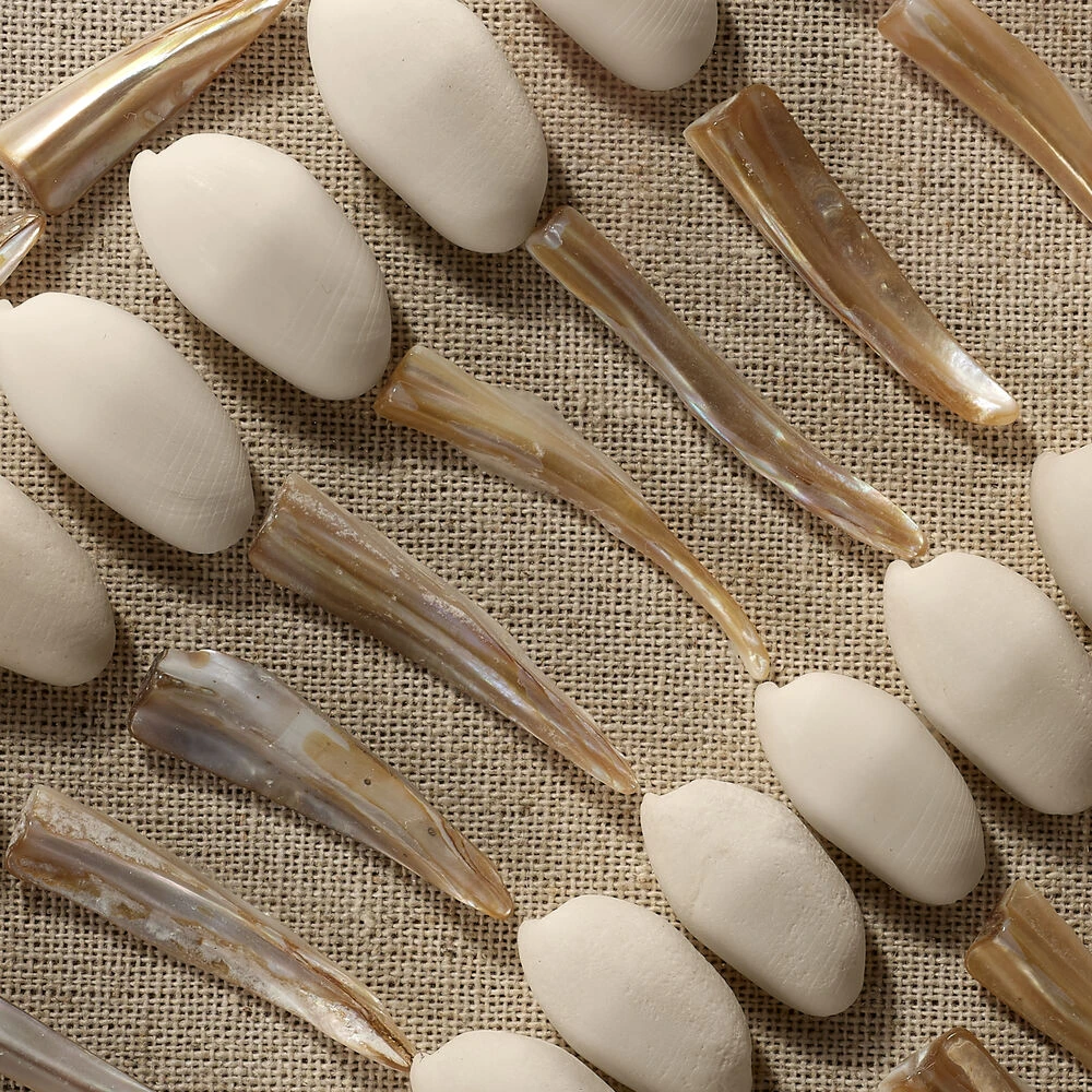 Waiki Off White Shell Wall Art 4 Waiki Off White Shell Wall Art - Image 4