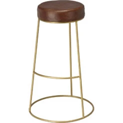 Henry 30 Inch Matte Brown And Brass Bar Stool