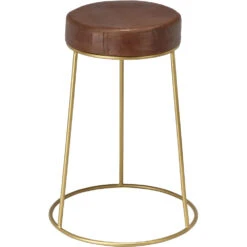 Henry 24 Inch Matte Brown And Brass Counter Stool -Home Decorate Shop ls20hencsbr 5
